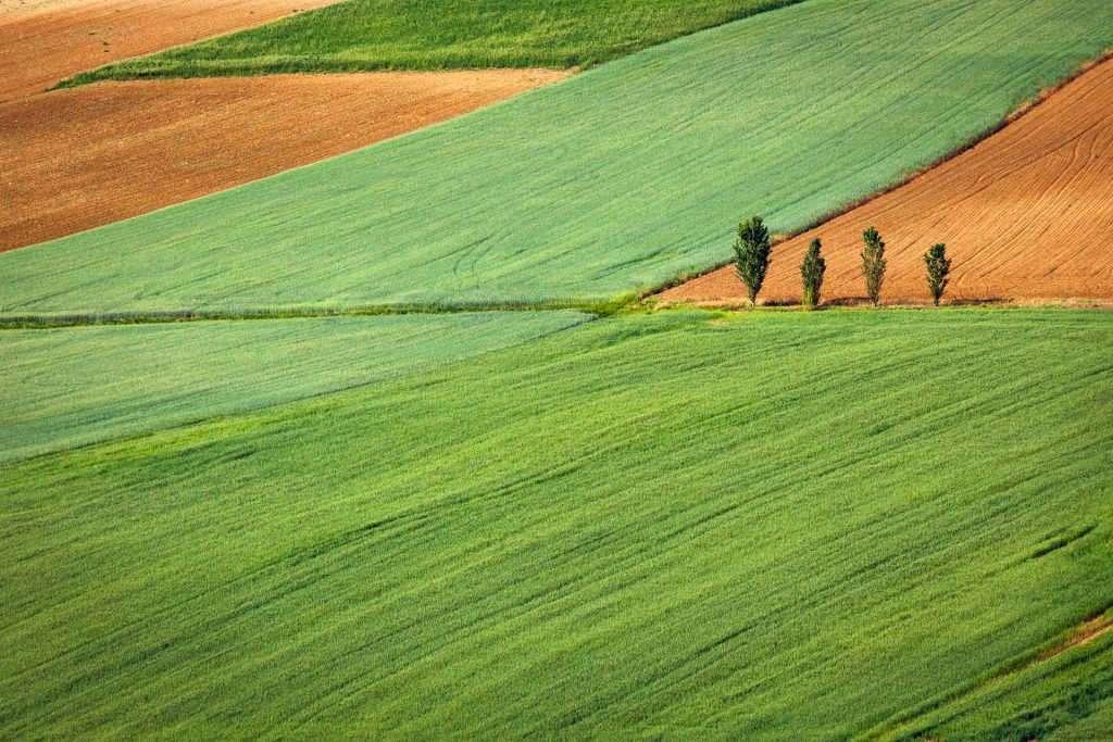 colores naturales para estantes